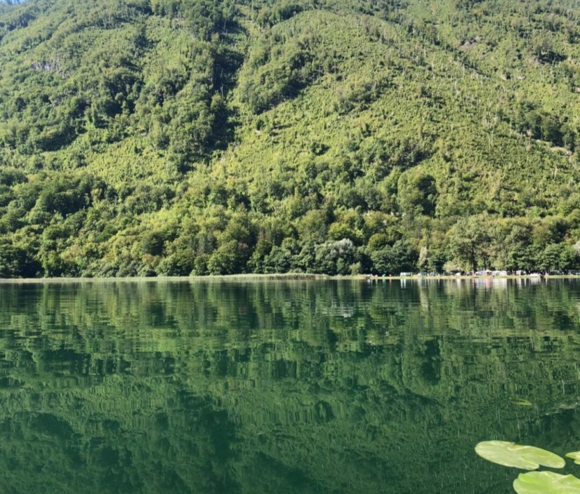 Vila Boračko jezero u ljetnjem danu