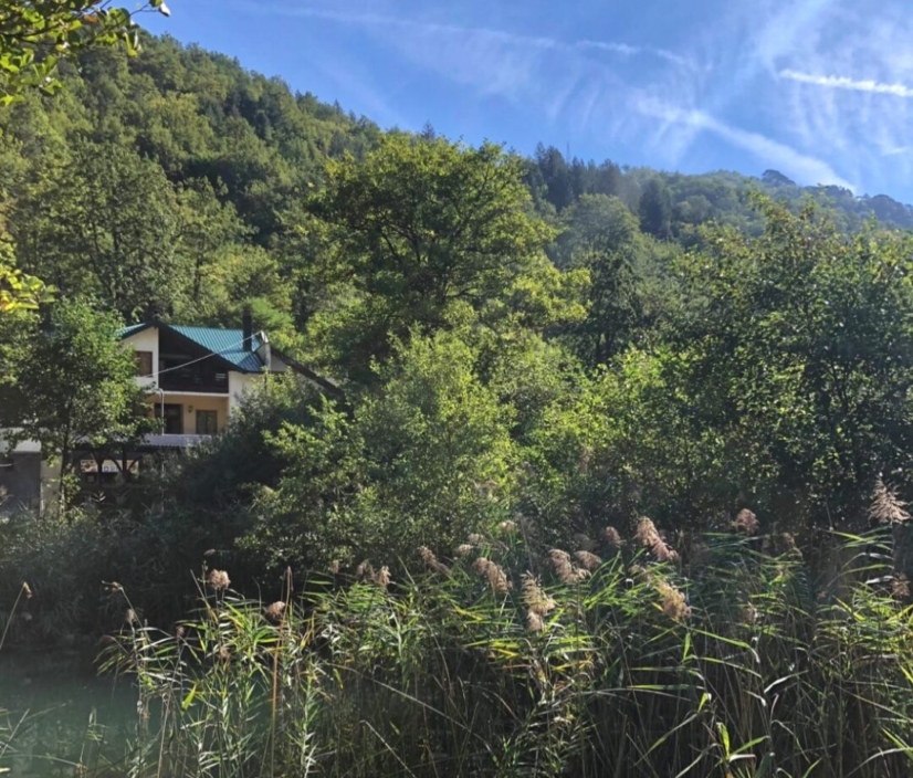 Vila Boračko jezero u ljetnjem danu